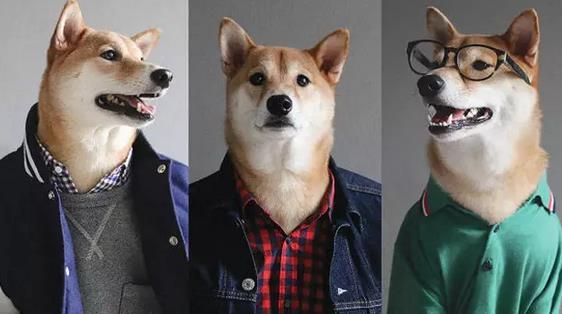 離開華爾街后，他創(chuàng)立了最懂男人的購衣平臺“垂衣”，估值已數(shù)千萬！