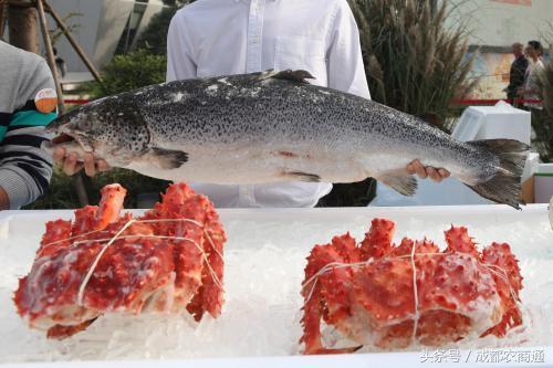 互聯(lián)網(wǎng)+農(nóng)業(yè)，最好切入的是銷(xiāo)售環(huán)節(jié)？