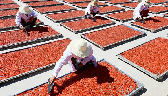 【圖解】“互聯(lián)網(wǎng)+農(nóng)業(yè)”讓鄉(xiāng)村振興“點(diǎn)擊”可見