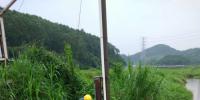 南方電網(wǎng)廣東鶴山供電局：積極應對強降雨，快速處置多起隱患