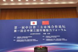 安倍晉三訪華 協(xié)鑫、天合和晶科為光伏行業(yè)長臉了！